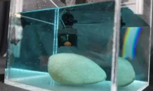 Thiết bị dính dưới nước lấy cảm hứng từ bạch tuộc