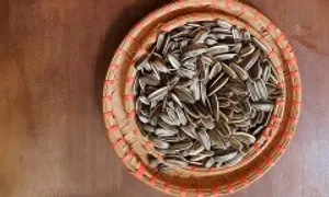 Lợi ích khi ăn hạt hướng dương